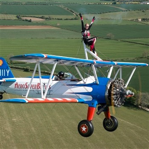 Wing Walking Experiences Uk Into The Blue